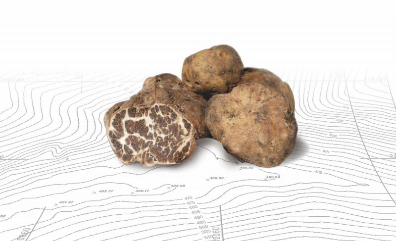 Frank´s Frischer Frühlingstrüffel (Tuber bianchetto – Italien) 1,18€/g