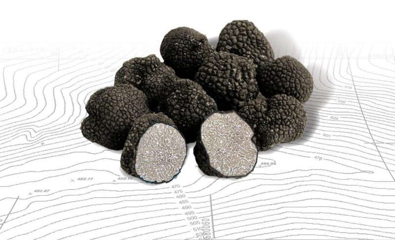 Frank´s Schwarzer Sommertrüffel (Tuber aestivum – Italien) 0,58€/g