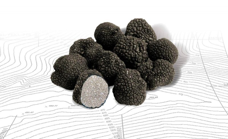 Frank´s Frischer Wintertrüffel (Tuber melanosporum, Italien) 1,64€/g