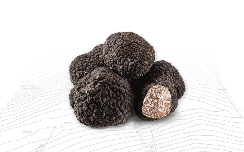 Frank´s Frischer Wintertrüffel